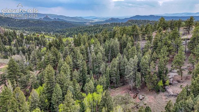 918 Pinon Lane, Florissant, CO 80816
