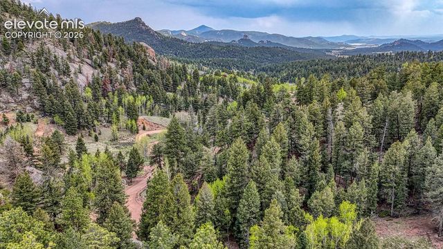 918 Pinon Lane, Florissant, CO 80816
