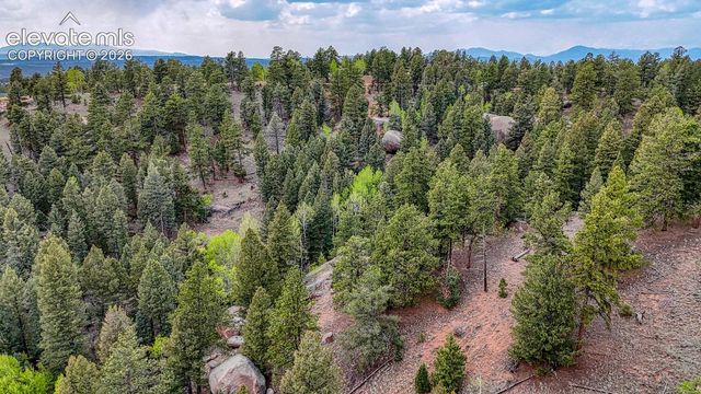 918 Pinon Lane, Florissant, CO 80816