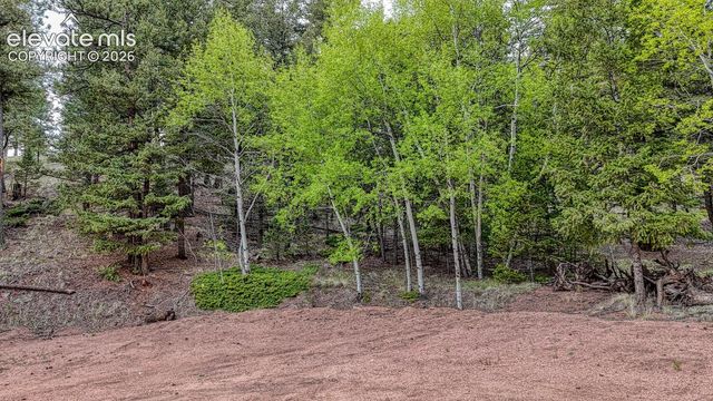 918 Pinon Lane, Florissant, CO 80816