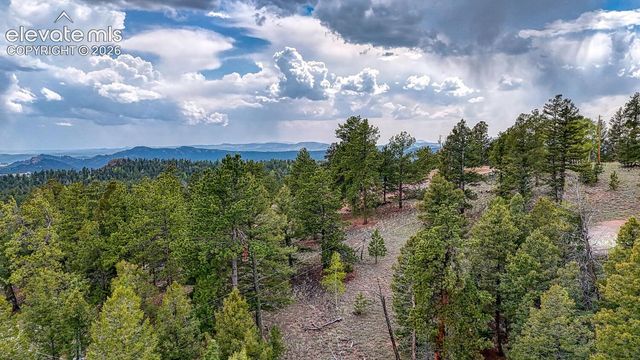 918 Pinon Lane, Florissant, CO 80816