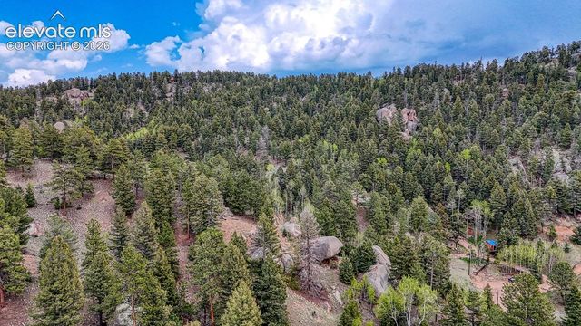 918 Pinon Lane, Florissant, CO 80816