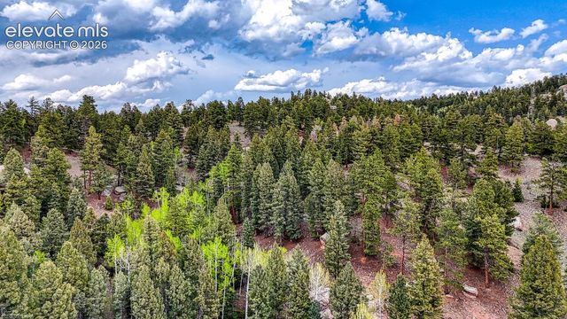 918 Pinon Lane, Florissant, CO 80816