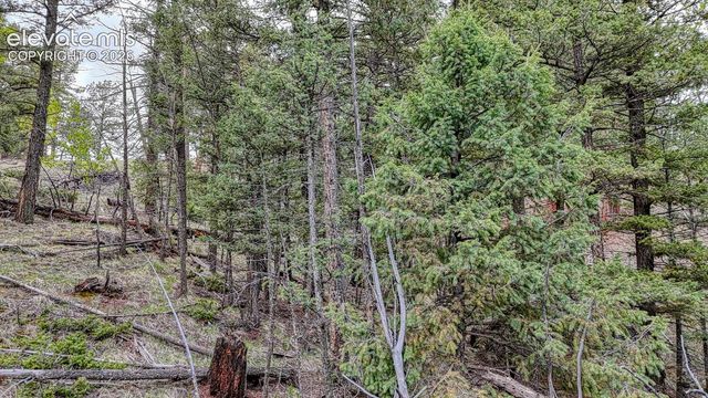 918 Pinon Lane, Florissant, CO 80816