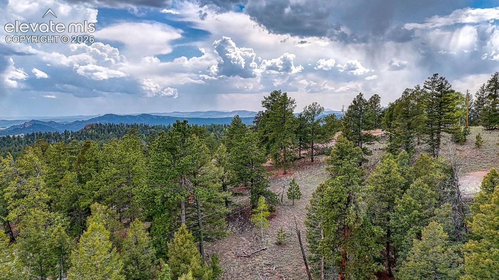 918 Pinon Lane, Florissant, CO 80816 — photo 4