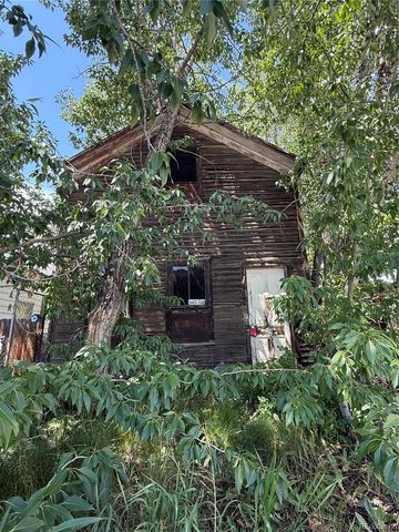 206 Elm, Leadville, CO 80461