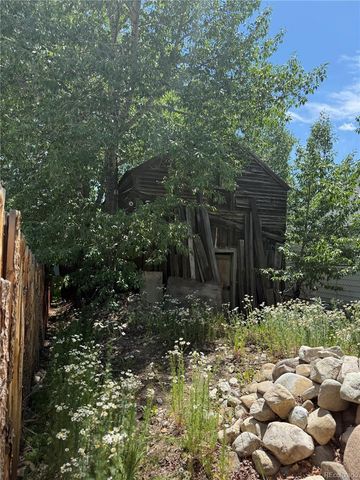 206 Elm, Leadville, CO 80461