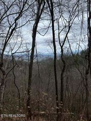 Lot 3 Overholt Tr, Sevierville, TN 37862