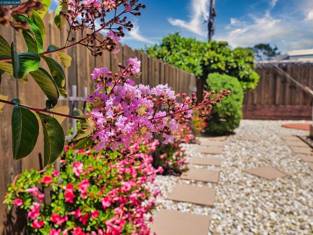 2979 Gilma Dr, Richmond, CA 94806