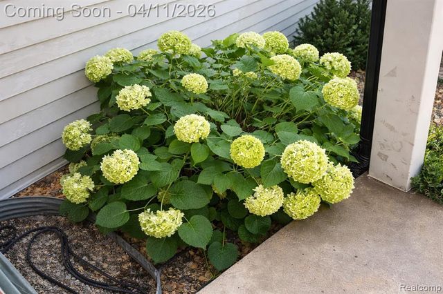 24615 Park Terrace Drive, Harrison Twp, MI 48045