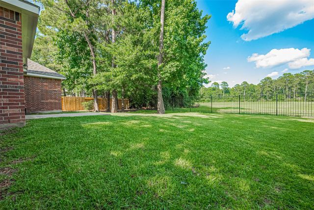 14 Sprite Woods Place, The Woodlands, TX 77382