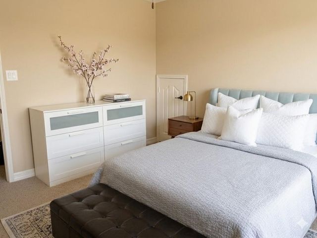 25206 Bristlecone Pine Lane, Spring, TX 77389