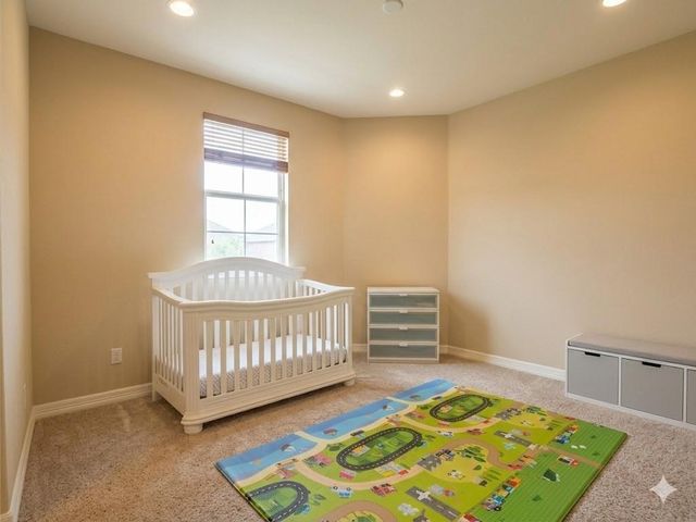 25206 Bristlecone Pine Lane, Spring, TX 77389