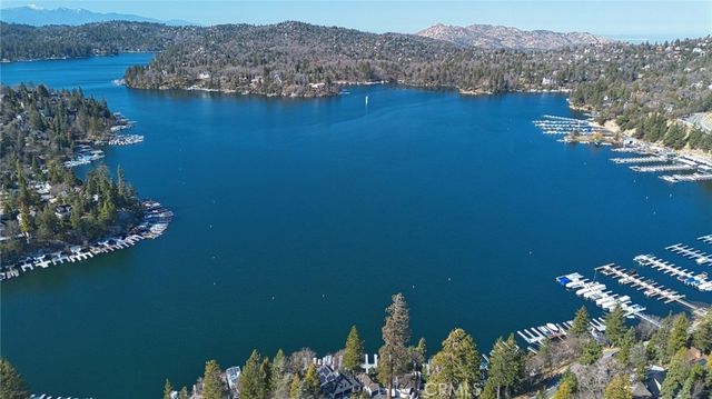 29083 Hook Creek, Cedar Glen, CA 92321