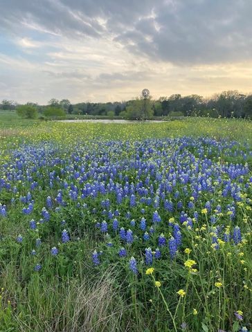 1532 County Road 250, Weimar, TX 78962