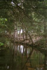 1532 County Road 250, Weimar, TX 78962