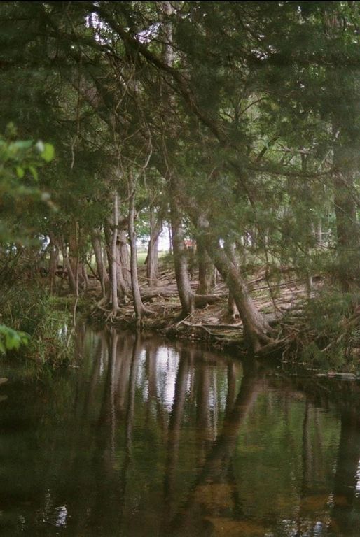 1532 County Road 250, Weimar, TX 78962