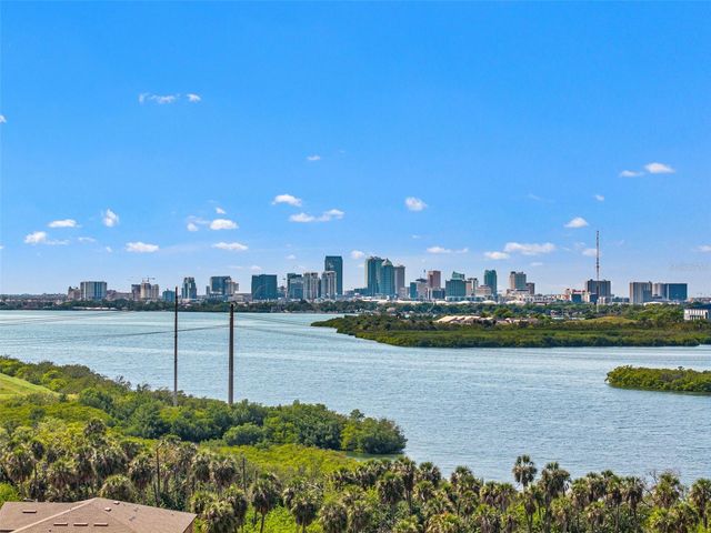 4720 TUSCAN LOON DRIVE, Tampa, FL 33619