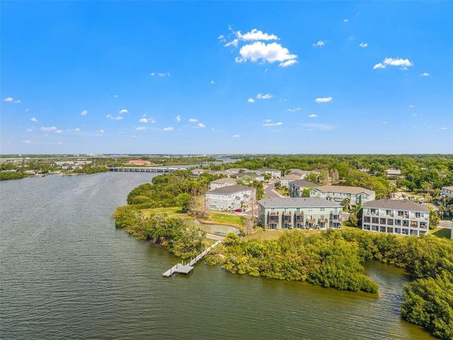 4720 TUSCAN LOON DRIVE, Tampa, FL 33619