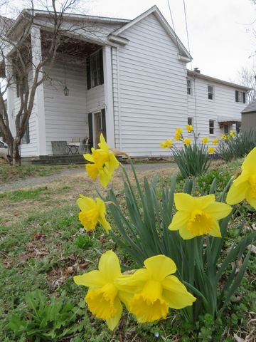 116 Cedar AVE, Vinton, VA 24179