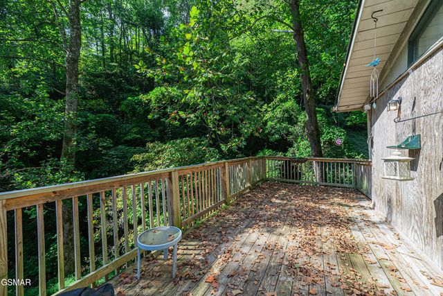 3176 N Clear Fork Road, Sevierville, TN 37862
