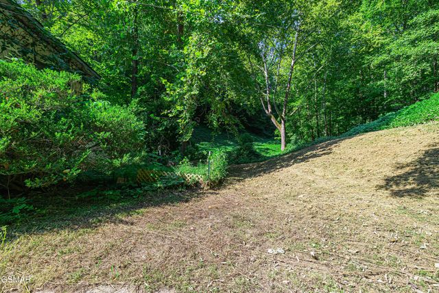 3176 N Clear Fork Road, Sevierville, TN 37862