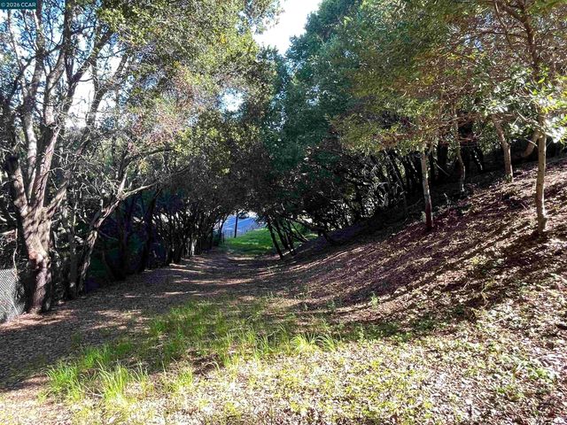 6 Brookwood, Orinda, CA 94563