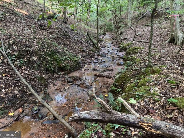 LOT 28 Norton Lane, Dahlonega, GA 30533