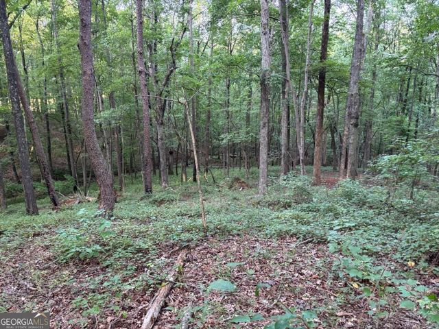 LOT 28 Norton Lane, Dahlonega, GA 30533