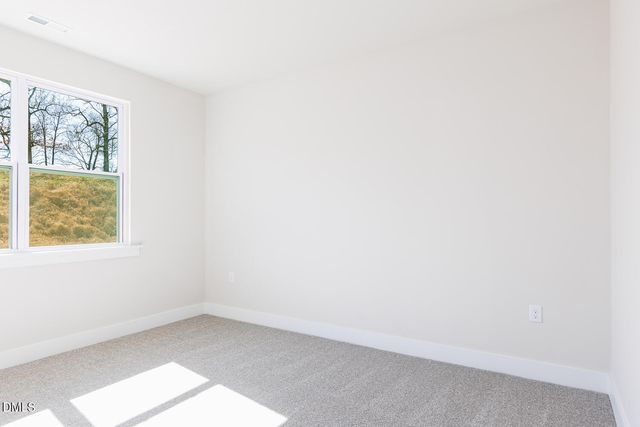 204 Vaughan Farms Drive, Angier, NC 27501
