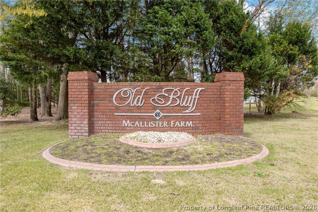 3825 Barnsdale Drive, Wade, NC 28395 — photo 39