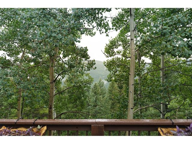 70 Jackpine Ln, Evergreen, CO 80439