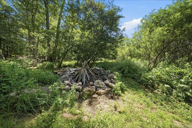 64 & 68 Mineral Springs Road, Livingston Manor, NY 12758