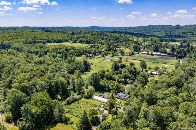 64 & 68 Mineral Springs Road, Livingston Manor, NY 12758