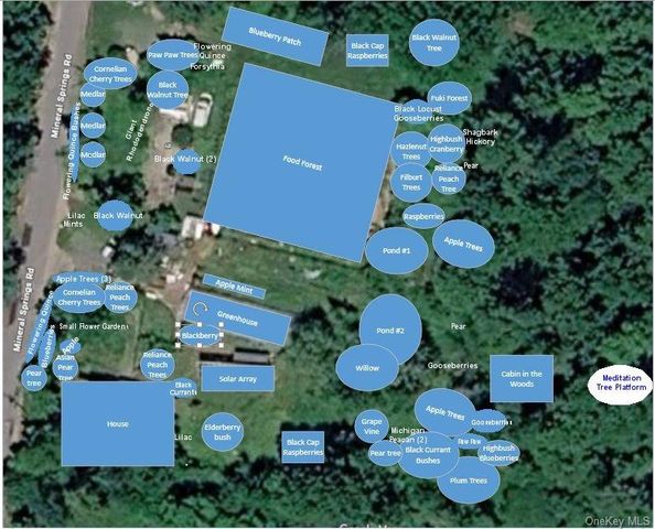 64 & 68 Mineral Springs Road, Livingston Manor, NY 12758
