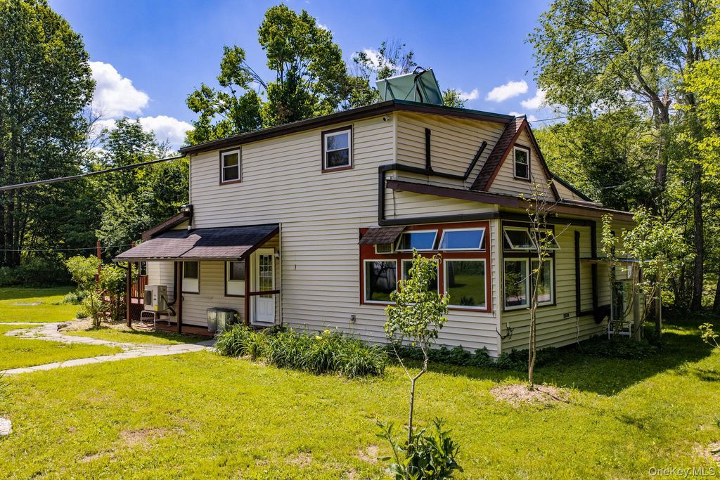 64 & 68 Mineral Springs Road, Livingston Manor, NY 12758