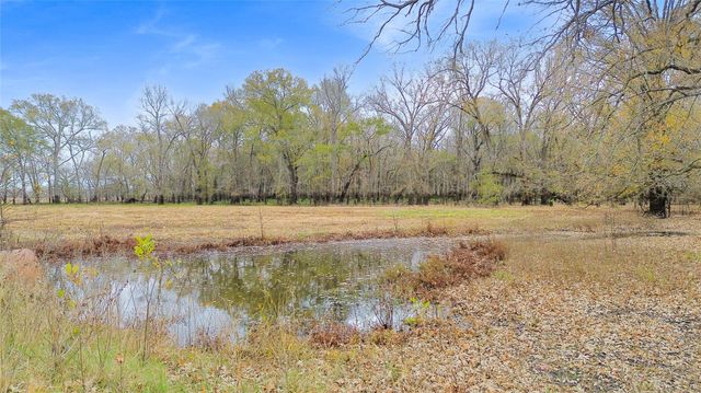 TBD Pr 1350, Centerville, TX 75833