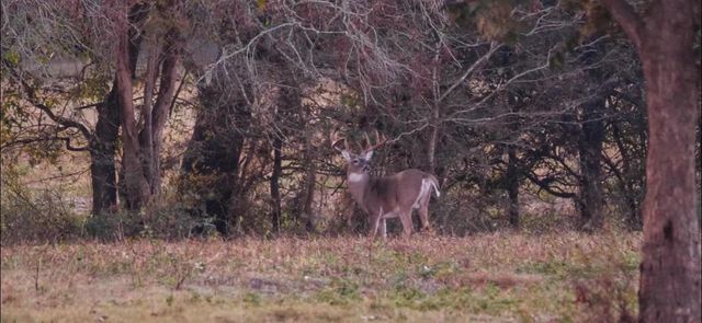 TBD Pr 1350, Centerville, TX 75833