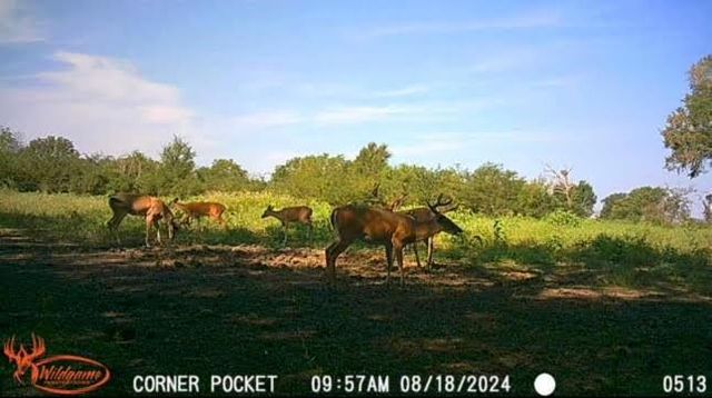 TBD Pr 1350, Centerville, TX 75833