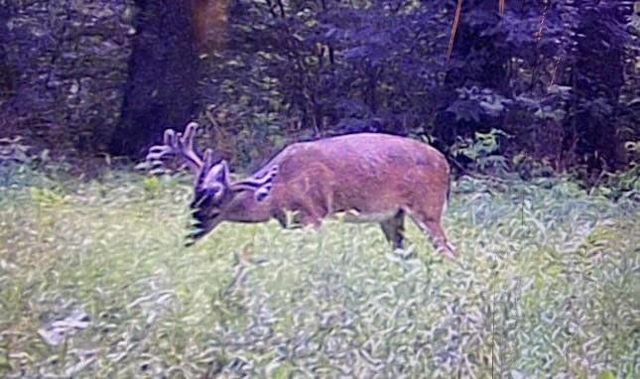 TBD Pr 1350, Centerville, TX 75833