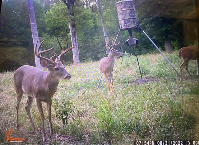 TBD Pr 1350, Centerville, TX 75833