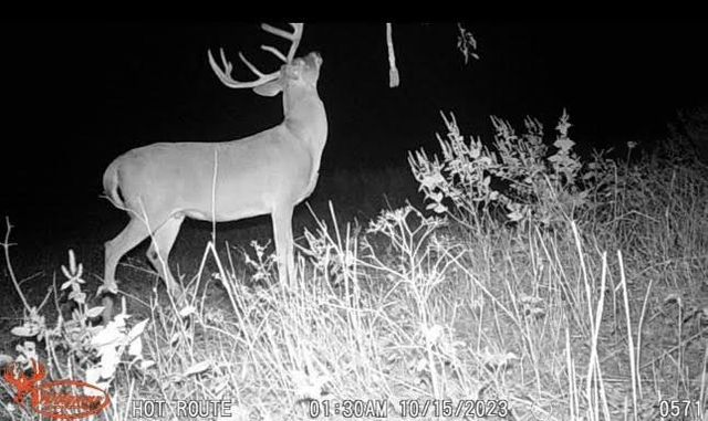 TBD Pr 1350, Centerville, TX 75833