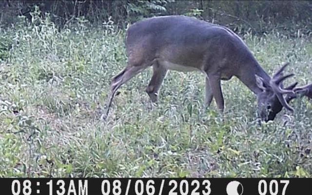 TBD Pr 1350, Centerville, TX 75833