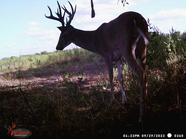 TBD Pr 1350, Centerville, TX 75833