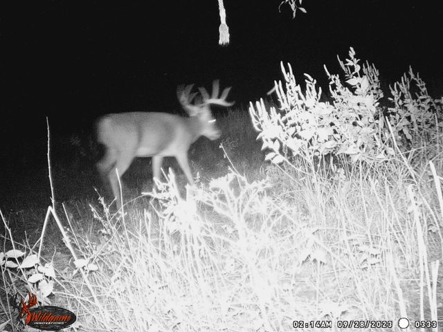 TBD Pr 1350, Centerville, TX 75833