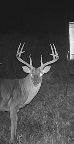 TBD Pr 1350, Centerville, TX 75833