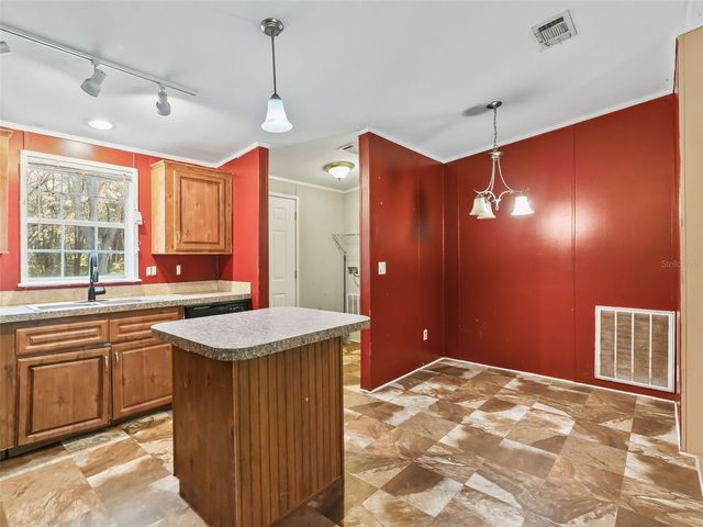 3861 CR 519, Coleman, FL 33521