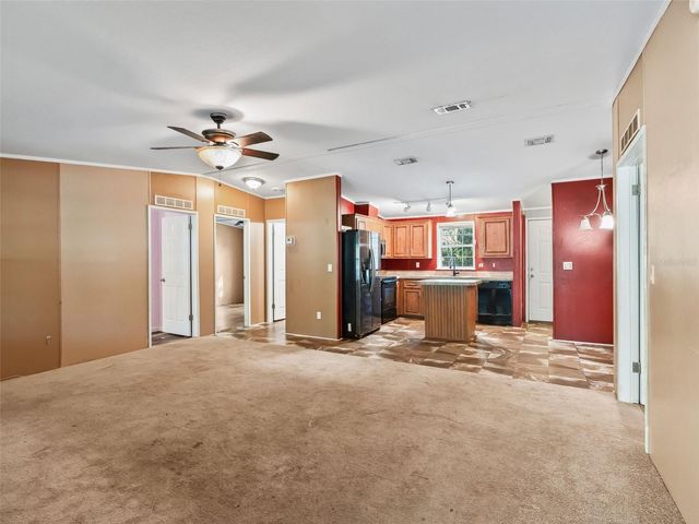 3861 CR 519, Coleman, FL 33521