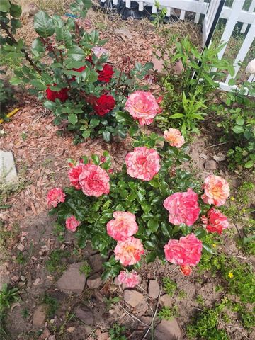 555 Elmgrove Road, Gates, NY 14606