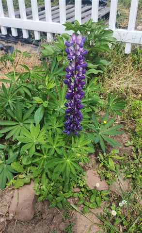 555 Elmgrove Road, Gates, NY 14606